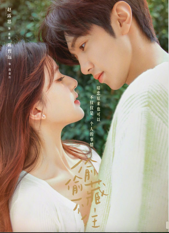 Hidden Love cover