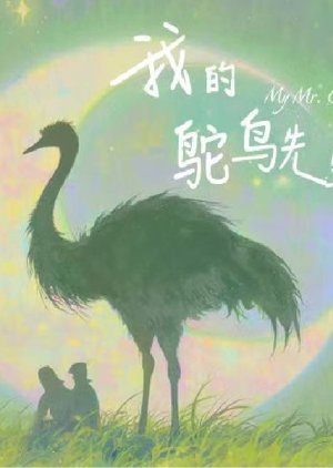 My Mr. Ostrich cover
